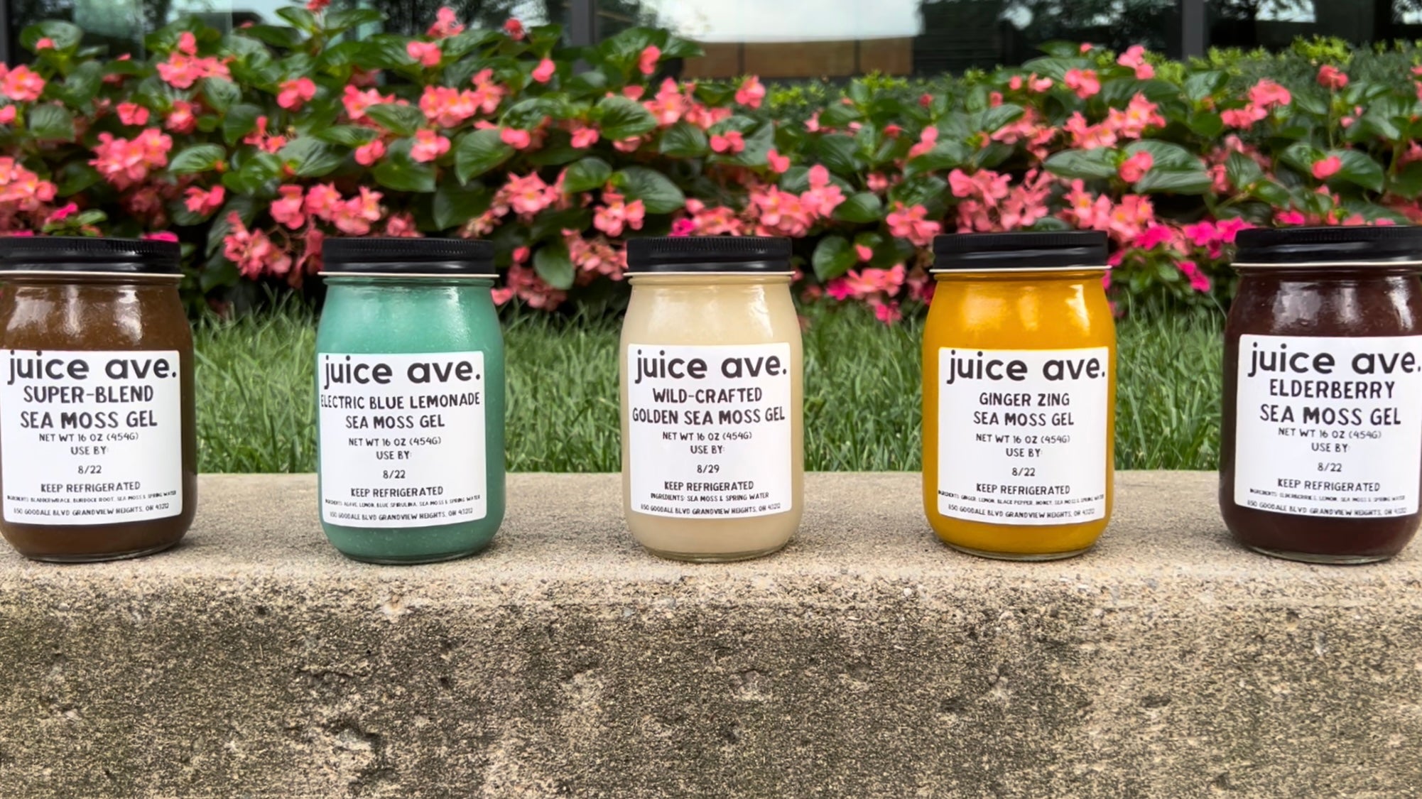 Wild-crafted Sea Moss Gels